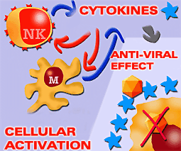 Cytokines agains invading agent