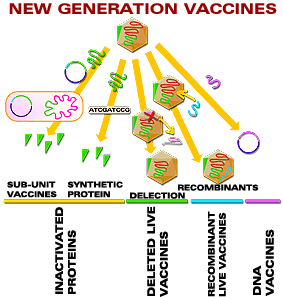 Vaccines of new generation
