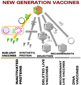 Subunit vaccin.