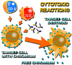 cytotoxic reactions