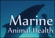 Marine Animal Health