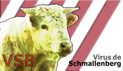 Virus de Schmallenberg