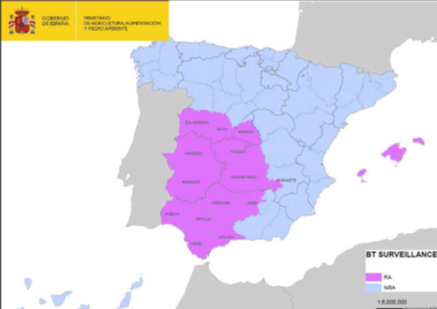 Distribución de la zona considerada de riesgo y la no considerada de riesgo para la lengua azul en España