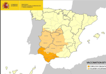 Zonas de vacunación obligatoria y voluntaria frente al serotipo 4 de lengua azul en España