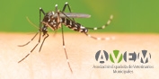 Jornadas Técnicas sobre insectos hematófagos de interés en Salud Pública y en Sanidad Animal