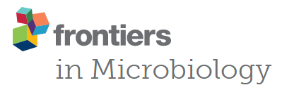 New research article published in Frontiers in Microbiology
