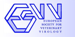 European Society for Veterinary Virology Madrid 2012