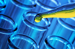 Investigación Sanidadanimal.info